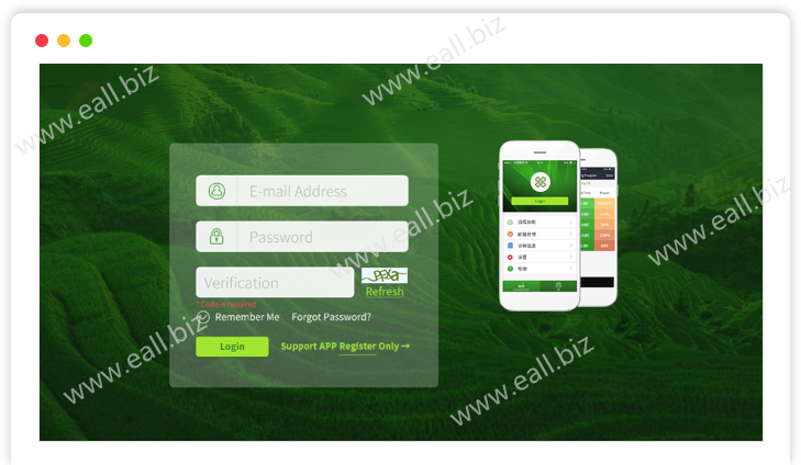 eall.biz shenzhen webdesign lw